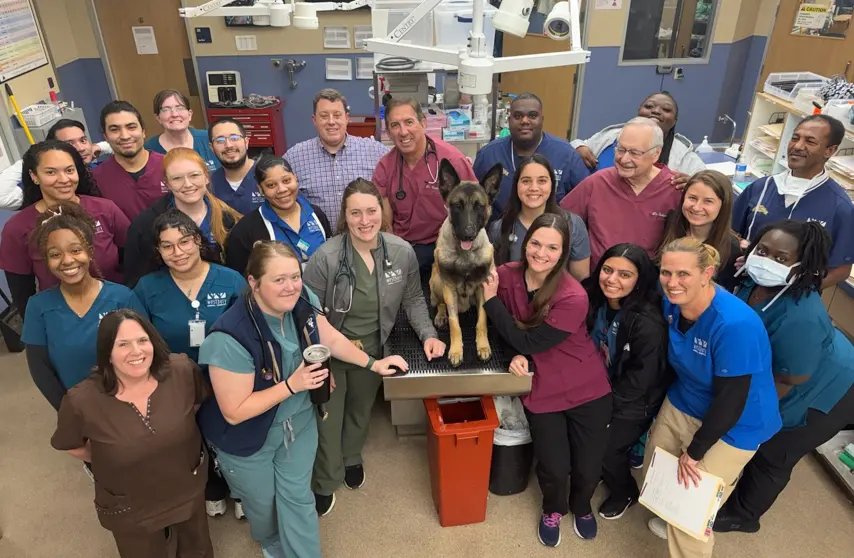 USMS K9 Rocky with Westbury Animal Hospital staff