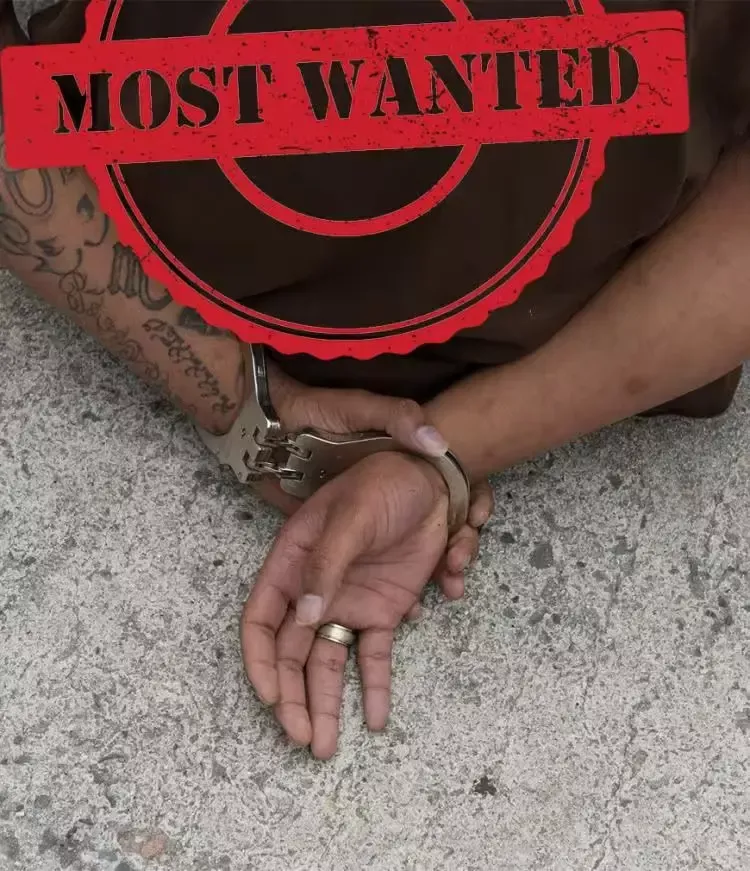 Most Wanted logo with a hand cuff