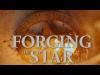 Forging the Star